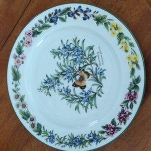 2 Royal Worcester fine porcelain dinner plates